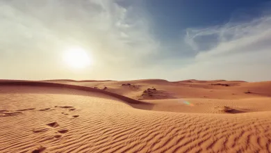 Decálogo de recomendaciones sobre la ciberamenaza iraní