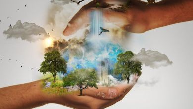 El consumidor consciente